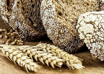FFF Fresh & Frozen Food AG | Bakery products