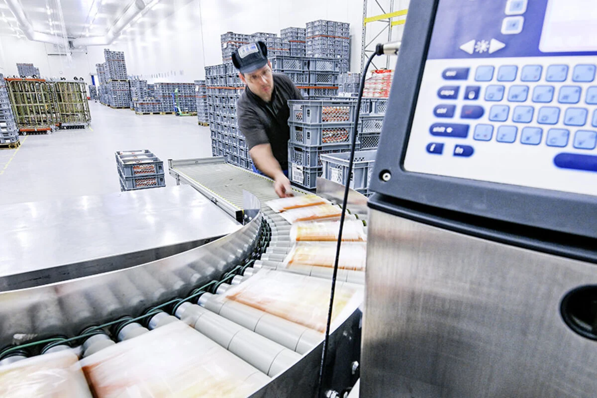 FFF Fresh & Frozen Food AG | About us